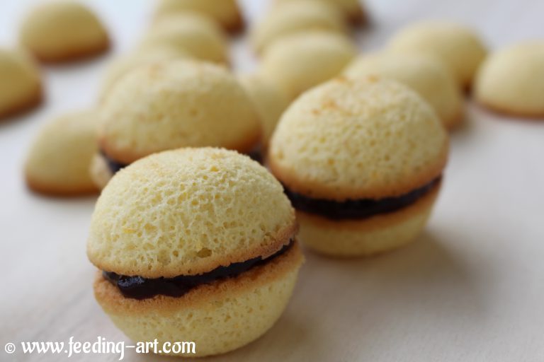 Kokos-Schoko Bällchen / Kokos-čoko loptice – Feeding Art