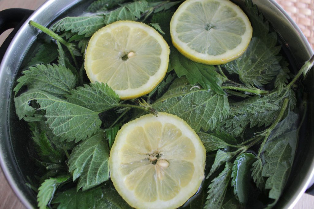 Nettle leaf juice / Sok od koprive Feeding Art